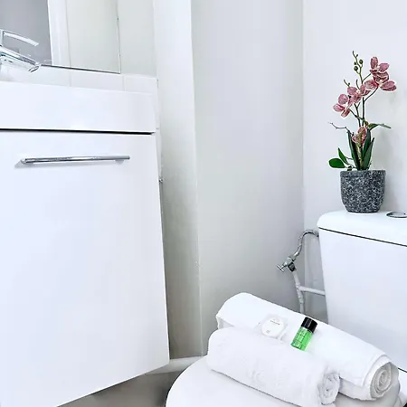 Renovated Champs-elysees Retreat Apartment Paris